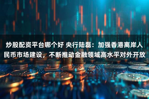 炒股配资平台哪个好 央行陆磊：加强香港离岸人民币市场建设，不断推动金融领域高水平对外开放